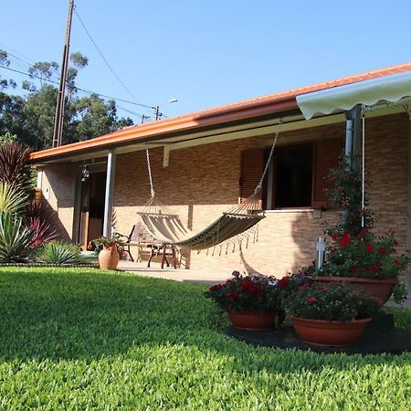 Hostal Casa flor da laranjeira Ponte de Lima Exterior foto